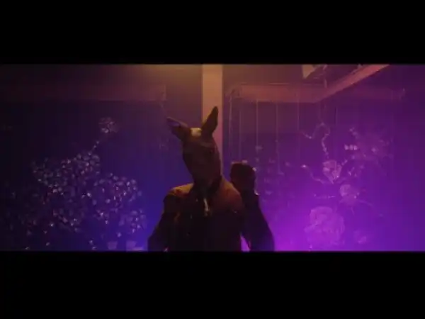 Kelvin BOJ – Kangaroo